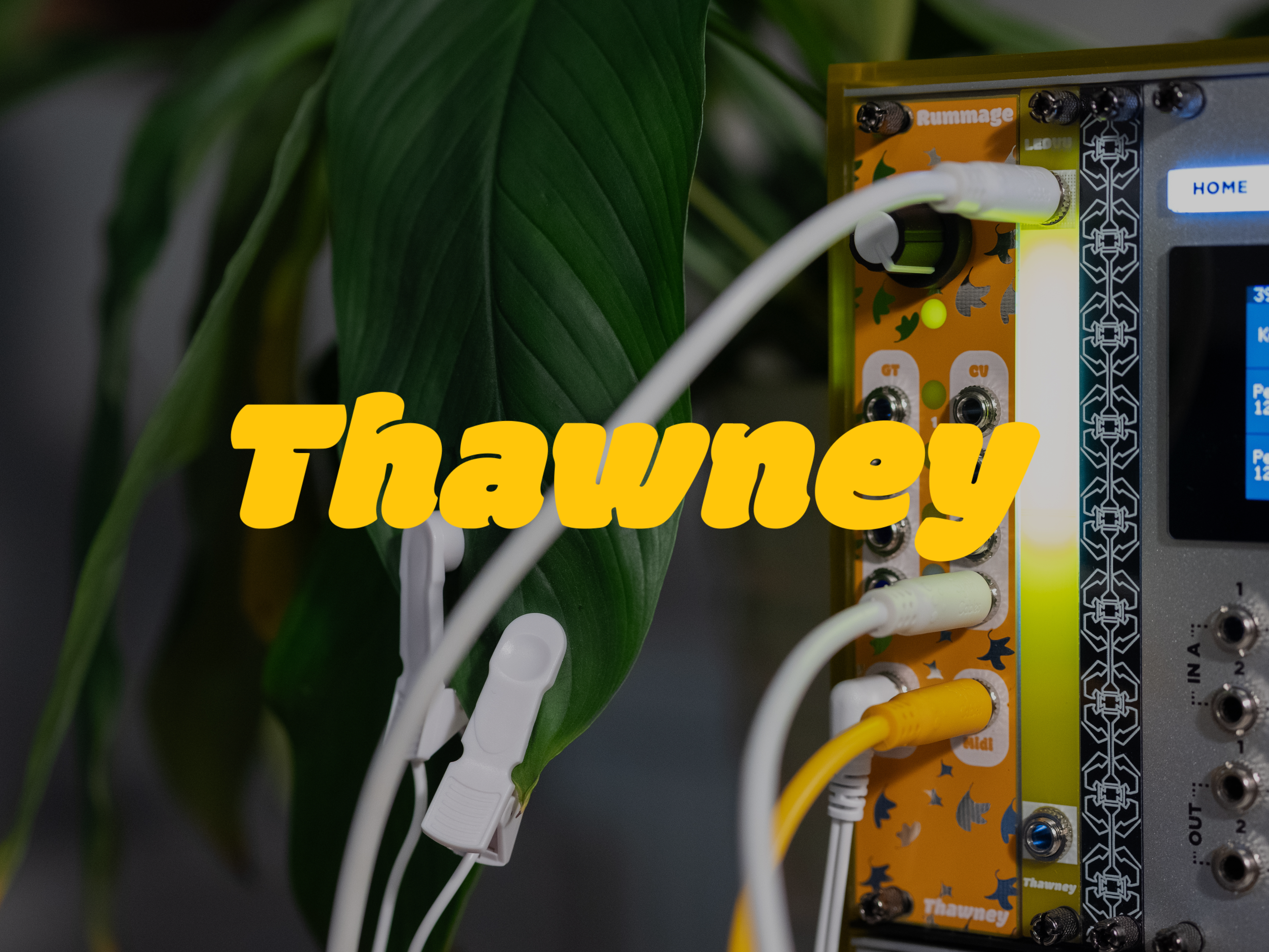 Thawney. Logo